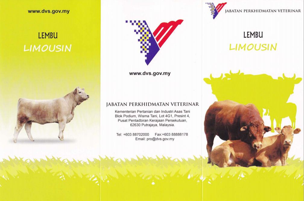baka lembu
